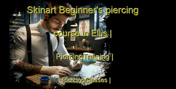 Skinart Beginner's piercing course in Ellis | PiercingTraining | PiercingClasses | SkinartTraining-United States